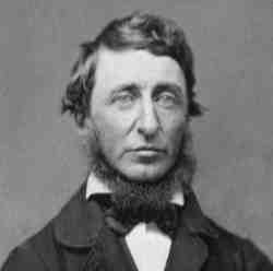 Portrait of Henry David Thoreau